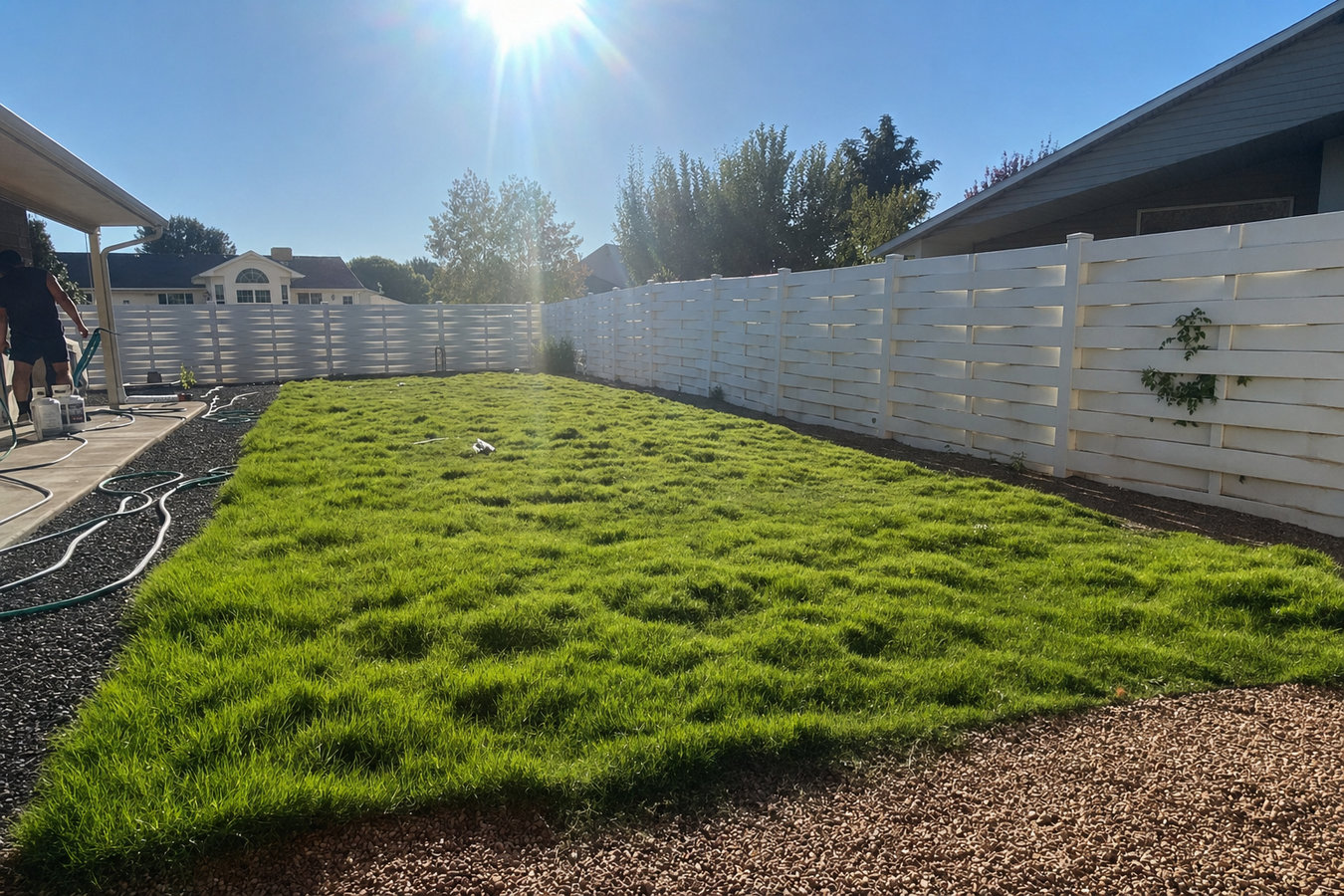 Drought-tolerant turf